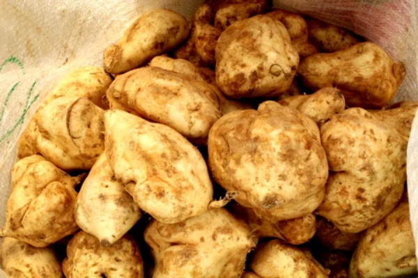 Screenshot 2026-01-07 at 11-39-47 2021-12-11-61b4f1053ce90.webp (WEBP Image 480 × 320 pixels)