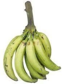 Screenshot 2026-01-07 at 11-40-52 2025-08-06-6893a7c058fe6.webp (WEBP Image 172 × 232 pixels)