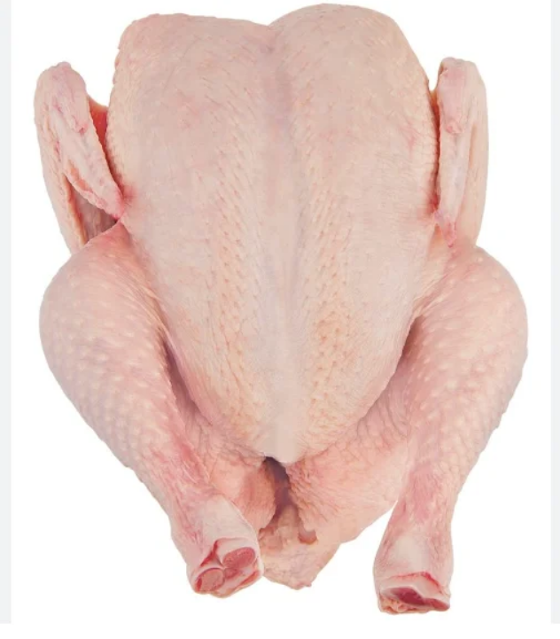 Screenshot 2026-01-07 at 12-23-25 2022-12-20-63a1f0df5114d.webp (WEBP Image 506 × 577 pixels)