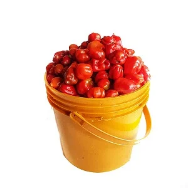 Screenshot 2026-01-08 at 13-49-03 2021-08-27-61285fa66e161.webp (WEBP Image 300 × 300 pixels)
