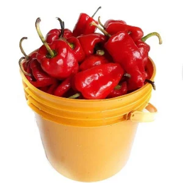 Screenshot 2026-01-08 at 13-49-46 2021-08-27-6128662d4de08.webp (WEBP Image 300 × 300 pixels)